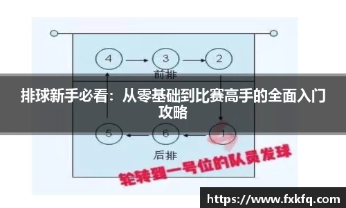 排球新手必看：从零基础到比赛高手的全面入门攻略